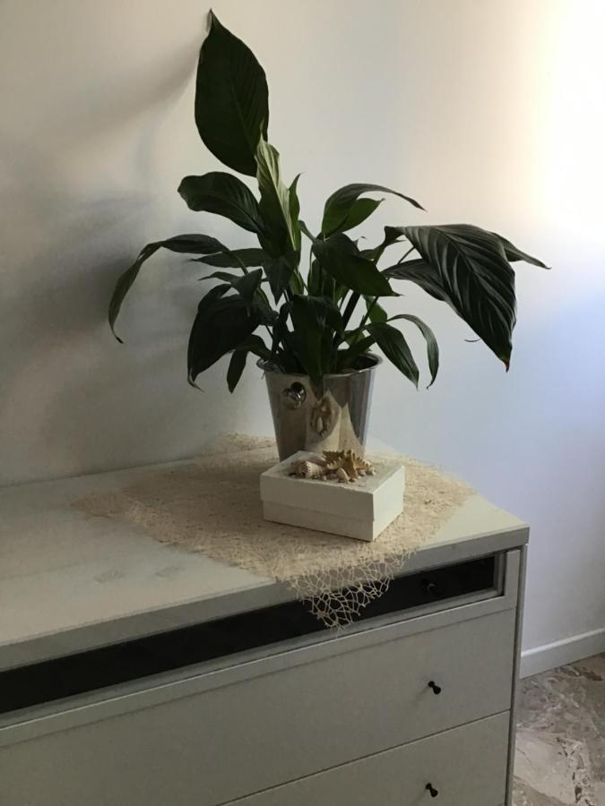 Apartament Stella Di Mare Rimini Zewnętrze zdjęcie